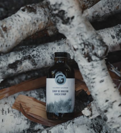 Bouteille de sirop de bouleau sur des branches de bouleau