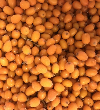Baies d’argousier serrées les unes contre les autres avec quelques tiges