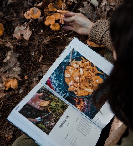 Livre FORÊT identifier, cueillir, cuisiner ouvert près de champignons sauvages