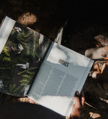Livre ouvert sur les arbres tenu dans un sous-bois