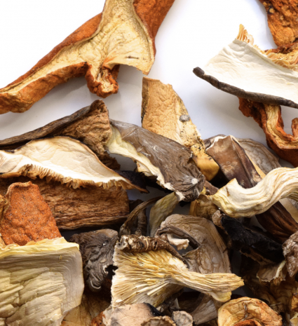 Mélange forestier de champignons sauvages déshydratés en gros plan