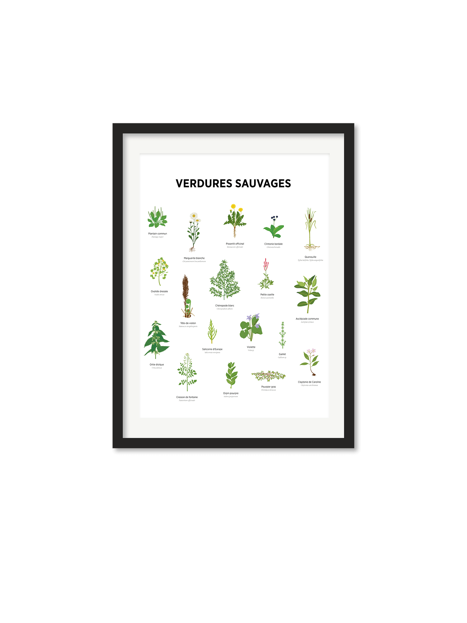 verdures sauvages_redim Affiche – Verdures