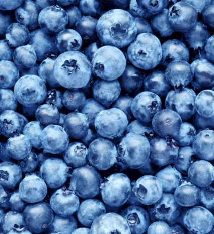 Bleuets sauvages congelés serrés les uns contre les autres