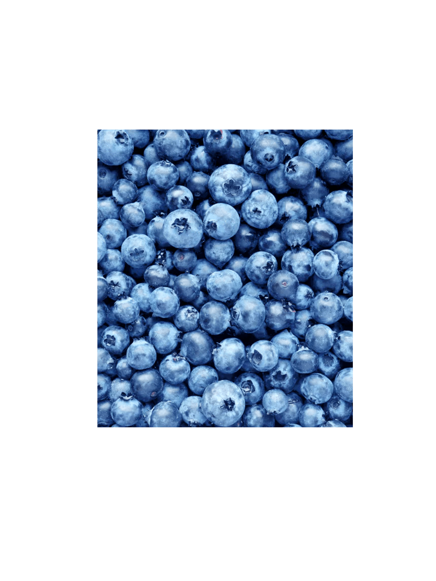 bleuts_site_op