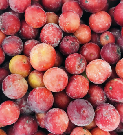 Prunes sauvages entassées, aux pelures rouges et violacées