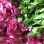 rose petals and celery leaves on a surface