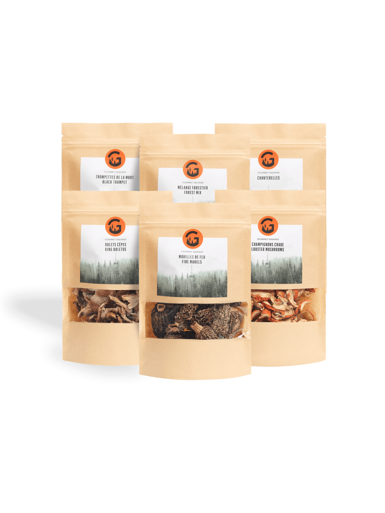 Ensemble de champignons sauvages séchés en sachets kraft