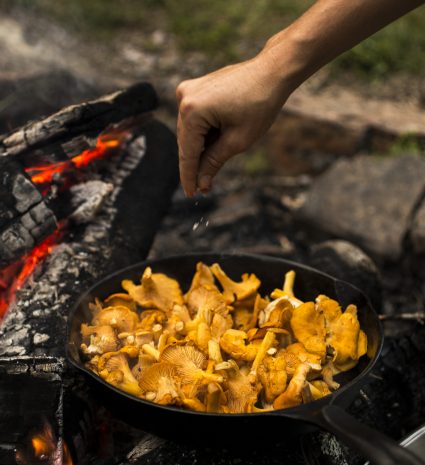 Chanterelles dans une poêle au-dessus d’un feu de bois