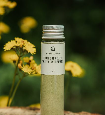 Poudre de mélilot dans un flacon posé sur une souche parmi des fleurs jaunes