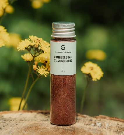 Vinaigrier sumac dans un flacon posé sur une souche de bois