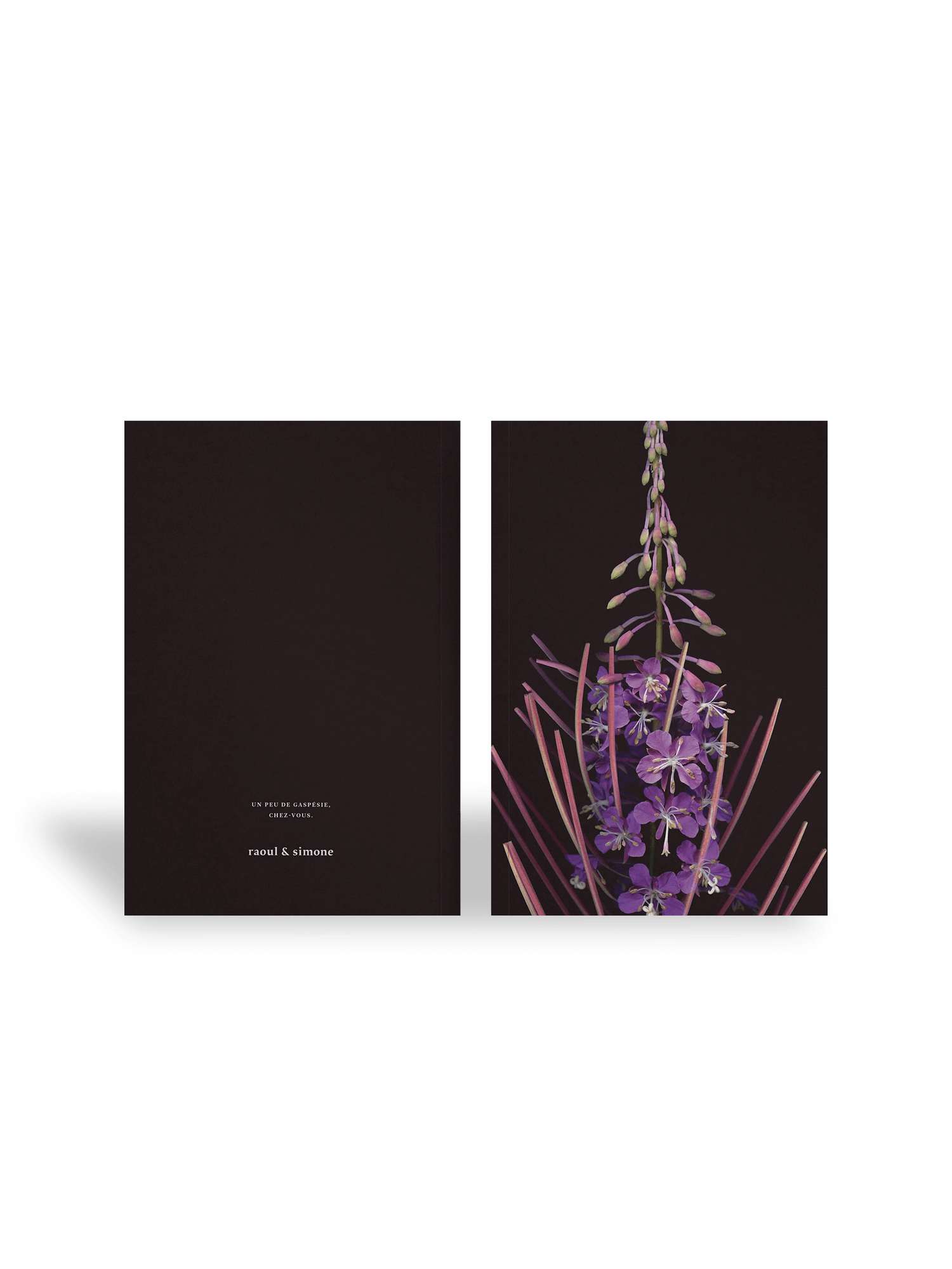 carnet_3_op Carnet de notes – L’épilobe