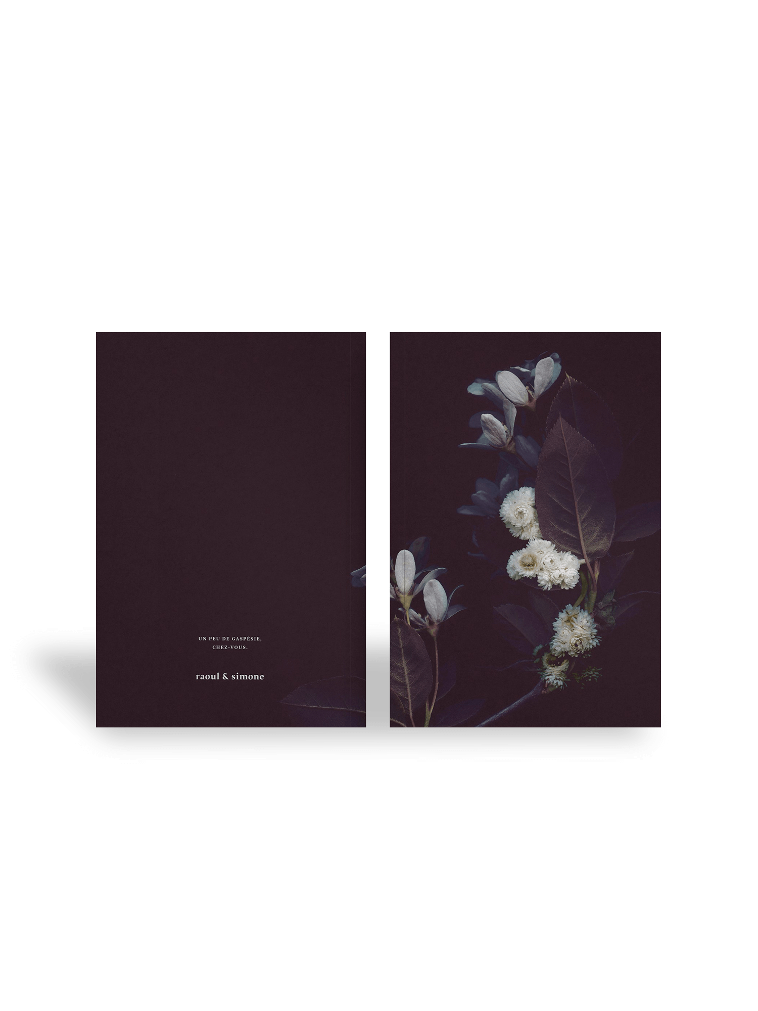 carnet_4_op Carnet de notes – Nocturne
