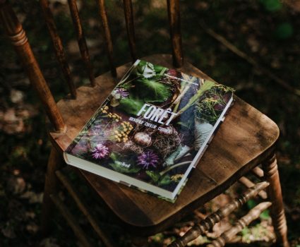 Livre Forêt, identifier, cueillir, cuisiner.