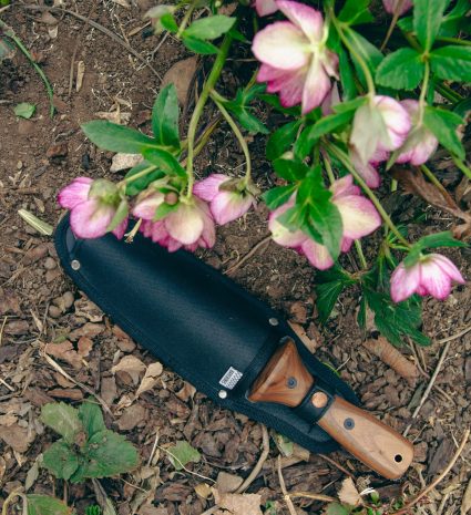 Couteau hori hori dans son étui posé parmi des fleurs au jardin