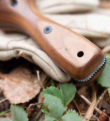 Couteau hori hori posé sur des feuilles mortes et des plantes