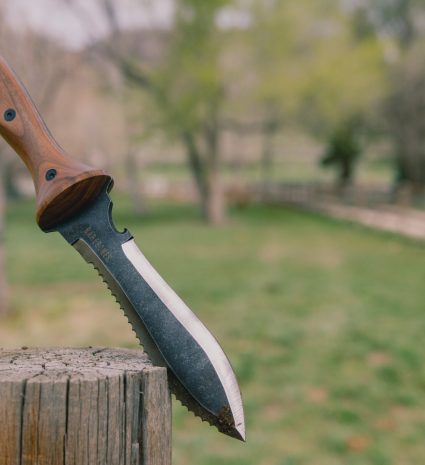 Couteau hori hori appuyé contre une souche dans un jardin