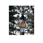 Ensemble AVENTURE SAUVAGE - panier + outil + carnet