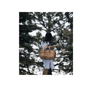 Ensemble AVENTURE SAUVAGE - panier + outil + carnet