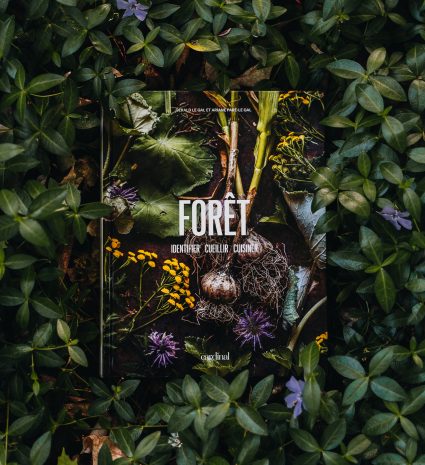 Livre FORÊT, identifier, cueillir, cuisiner posé sur des feuilles