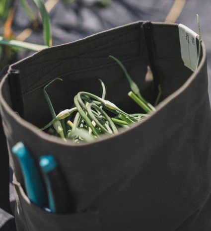 Sac Récolte rempli de verdures sur un sol rocheux