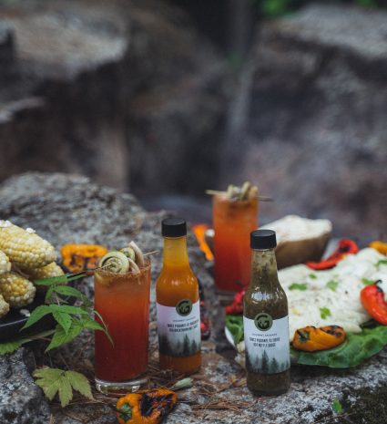 Duo de sauces piquantes sauvages sur une pierre en plein air