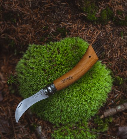 Couteau de cueillette sur mousse verte