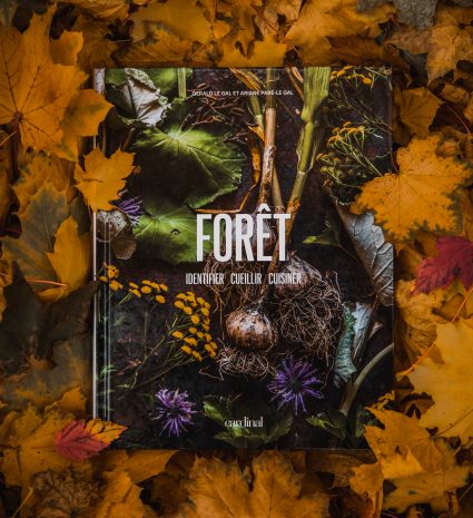 Livre FORÊT posé sur un tapis de feuilles d’automne