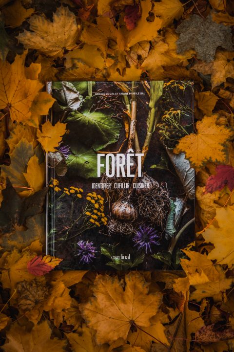 Livre FORÊT posé sur un tapis de feuilles d’automne