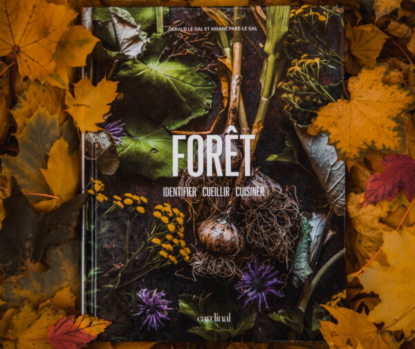 Livre FORÊT posé sur un tapis de feuilles d’automne