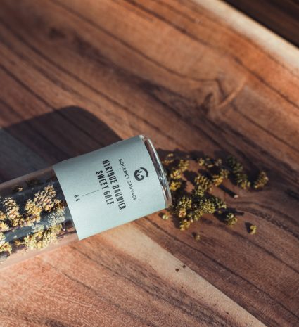 Myrique baumier séché dans un tube de verre sur une table en bois