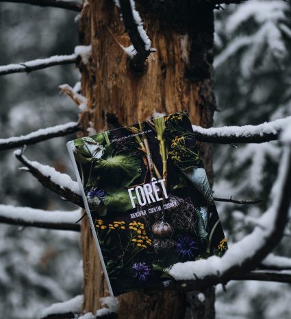 Livre Forêt posé contre un tronc d’arbre enneigé