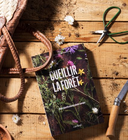 Livre Cueillir la forêt posé sur une table de bois
