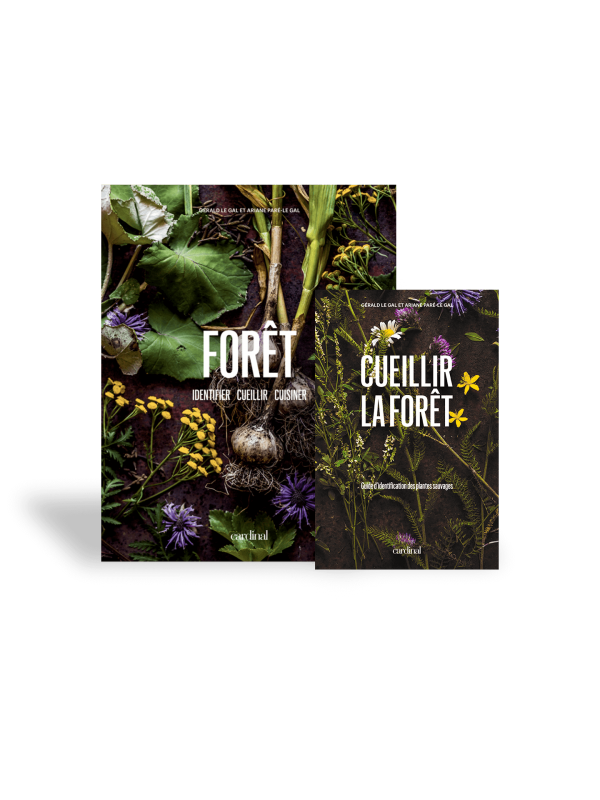Ensemble de livres FORÊT et Cueillir la forêt