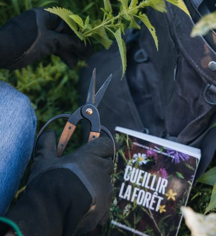 Personne tenant une plante et un sécateur près du livre Cueillir la forêt
