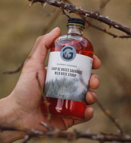 Bouteille de sirop de roses sauvages tenue entre des branches