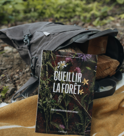 Sac Cueillette Champignons | Sac Filet Respirant Avec Sangle | Pliable Et Léger Pour Forêt, Jardin