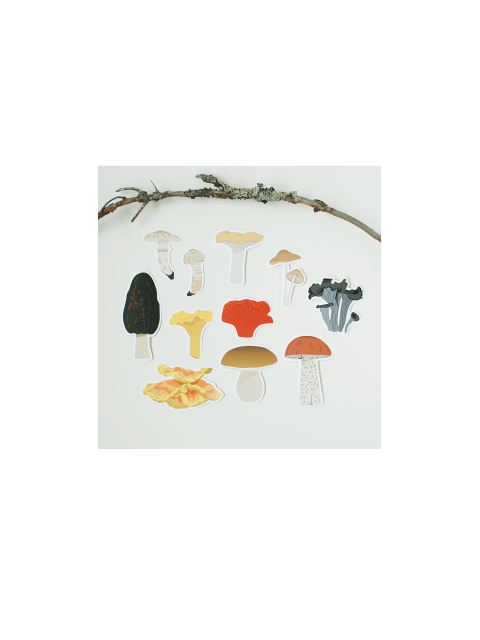 Autocollants en vinyle réutilisables – 11 champignons