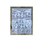 Clé d'identification plastifiée - Les feuillus en hiver