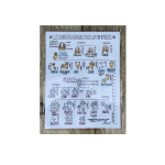 Clé d'identification plastifiée - Pistes de mammifères