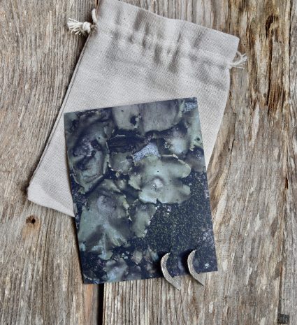 Boucles d’oreilles Lichen sur une carte, avec une pochette en toile