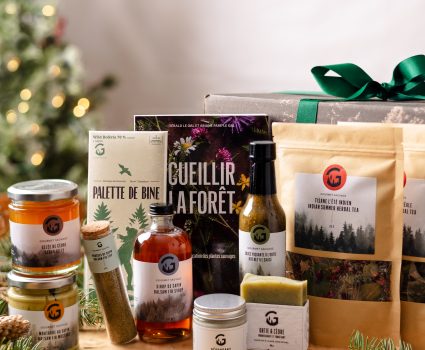 Produits forestiers comestibles sur table en bois avec livre