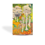 Guide d'initiation aux champignons sauvages du Québec