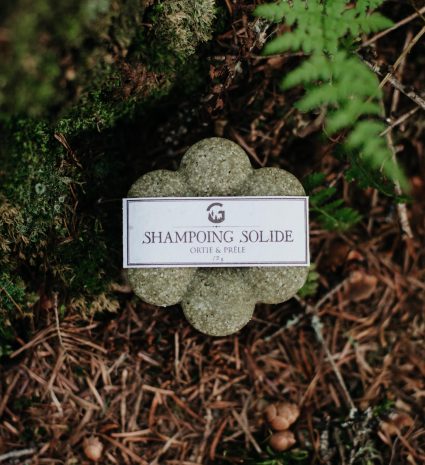 Shampooing solide à l’ortie et à la prêle sur un sol forestier