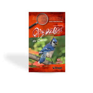 Oiseaux du Québec