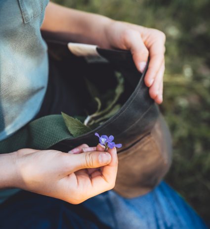 Sac Récolte – apprenti ouvert près d’une fleur violette