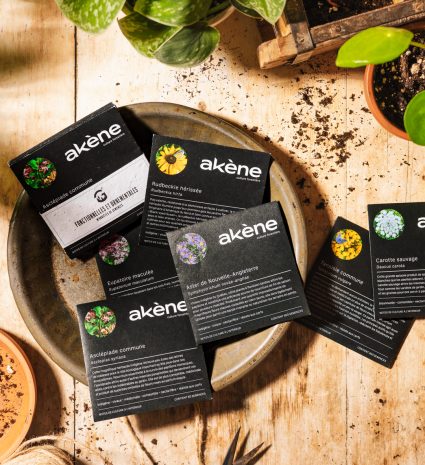 Sachets de semences akène sur plateau en métal