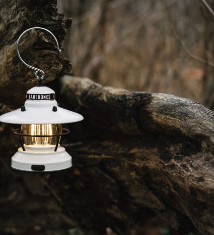 Mini lanterne suspendue à une branche d'arbre