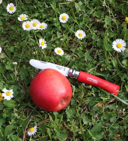 Couteau de cueillette et pomme rouge sur herbe
