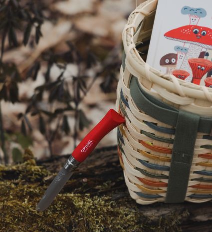 Panier en osier avec livre sur les champignons et couteau à champignons