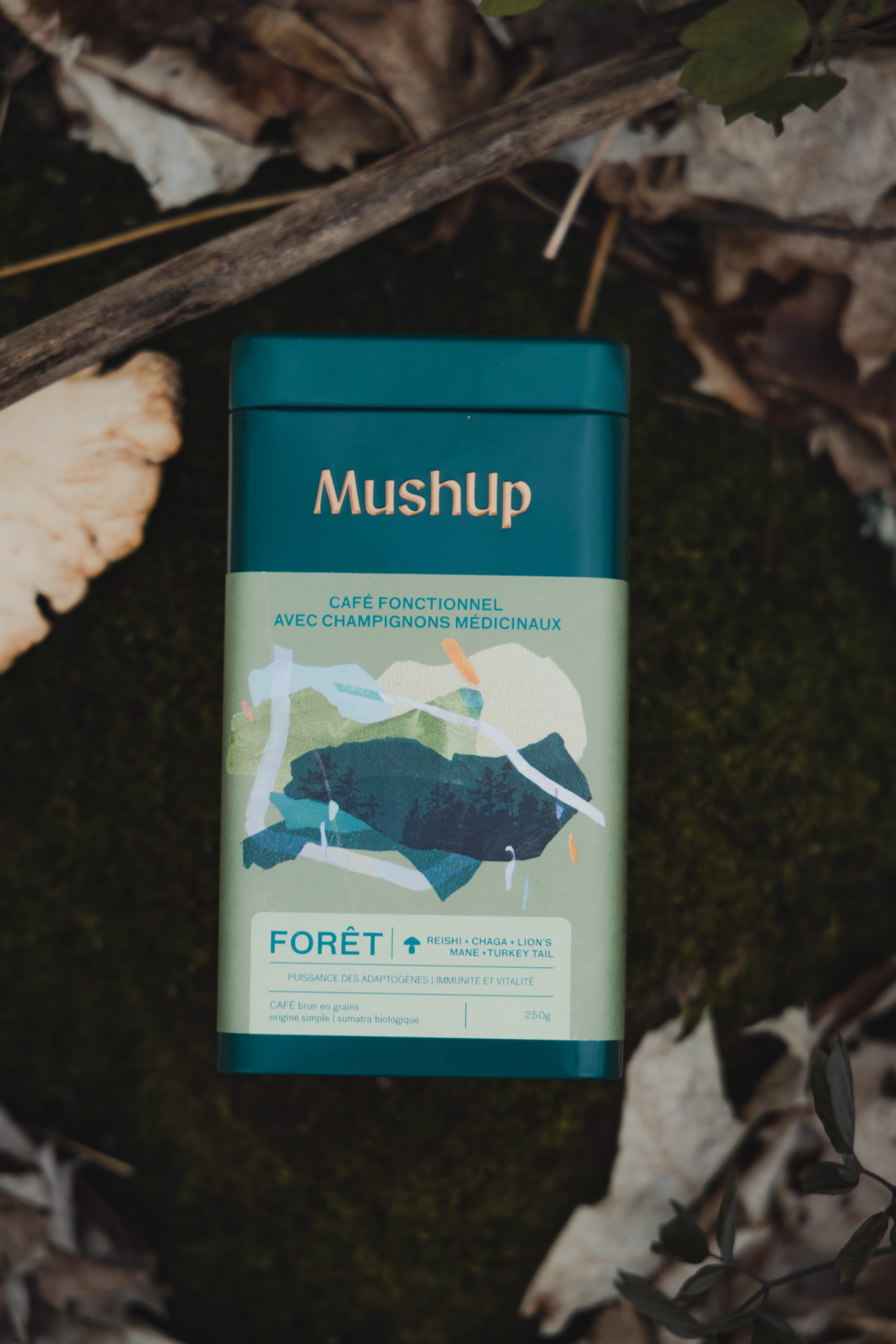Café aux champignons Café Fonctionnel Forêt Gourmet Sauvage